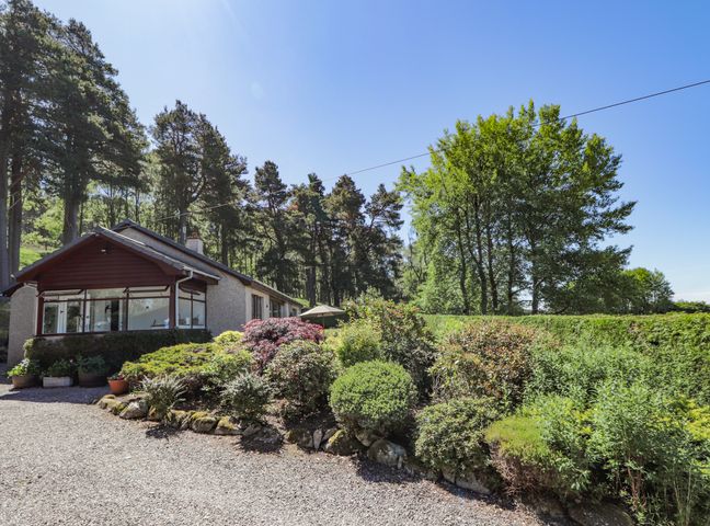 A single-story house next to a garden with shrubs and trees under a clear blue sky at Culreach Lodge in Grantown-on-Spey near Nethy Bridge