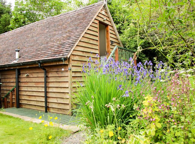 A wooden cabin with a sloped roof surrounded by flowers and plants at Milford Tree Tops in Craven Arms