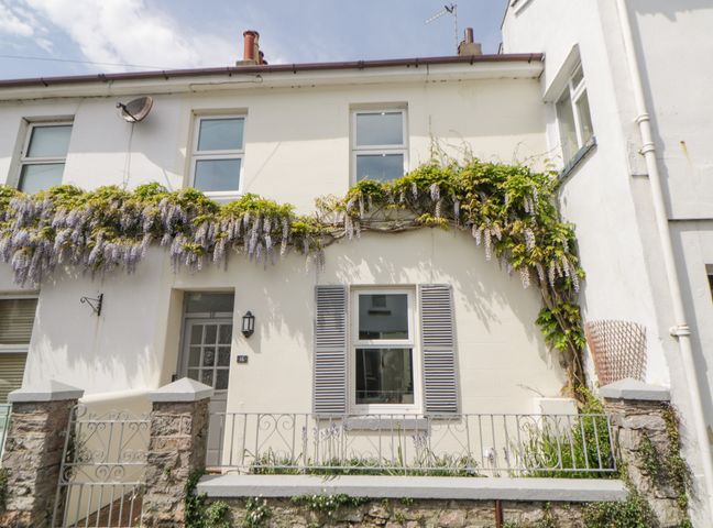 Exterior of a white terraced house with a front garden and climbing plants at Saltwater Cottage in Babbacombe