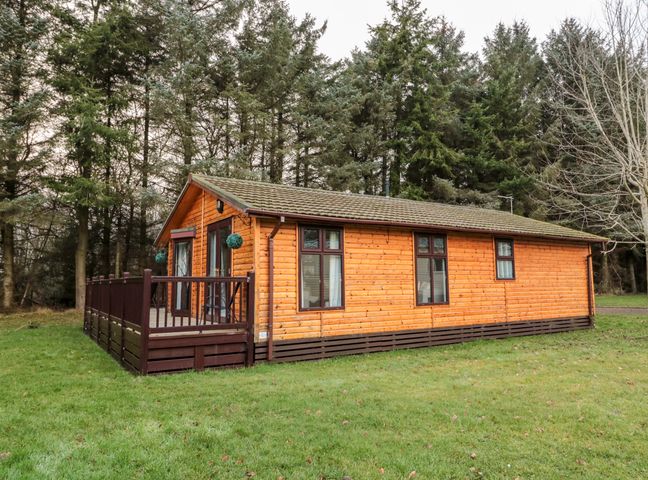 A wooden cabin with a tiled roof and a dark brown deck surrounded by grass and trees at The Treeline Swarland near Felton