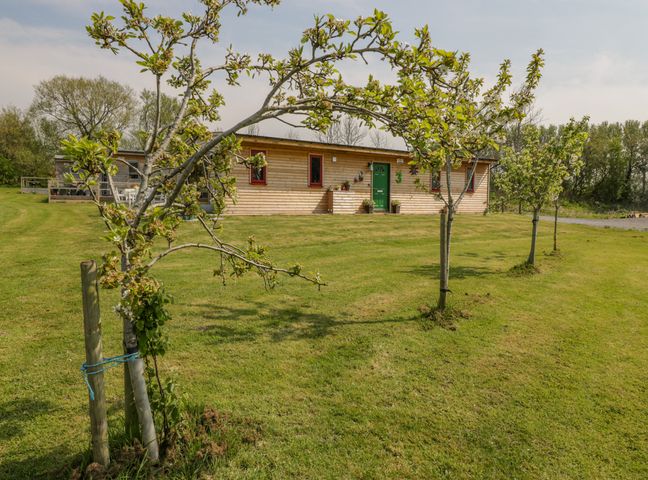 A wooden single-story house with a green door and small trees in front on a grassy lawn at Down the Rabbit Hole in Brinsea near Congresbury