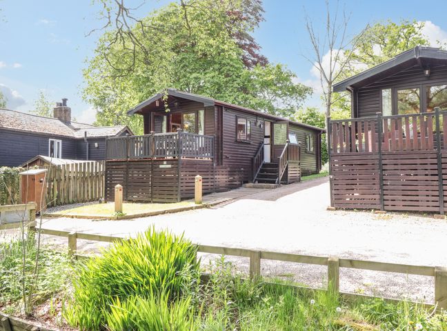 Wooden cabins with small porches and stairs surrounded by trees and greenery at Robins Nest Number 12 Burnside Park near Keswick