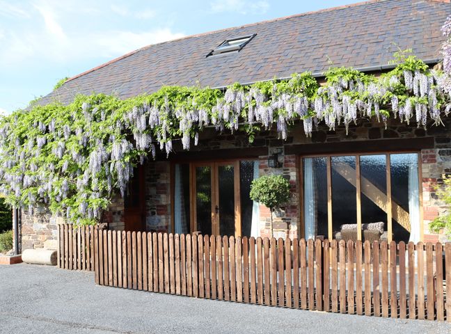 A stone house with wooden fence and wisteria flowers hanging from the roof at Little Orchard in Ashburton Down near Ashburton
