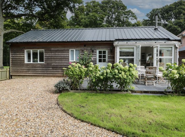 A single story wooden house with a gravel driveway and green plants in front at The Roost in Cheriton near Alresford