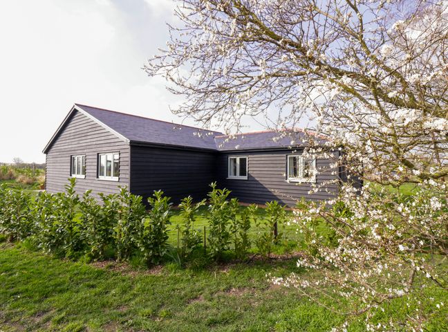 A black wooden house with multiple windows surrounded by greenery and a flowering tree in the foreground at Bramley Cottage in St Osyth