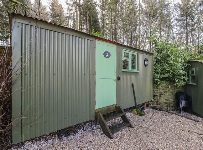 A green corrugated metal shed with a light green door and steps outside surrounded by trees and gravel at Willow 2 in Broadway