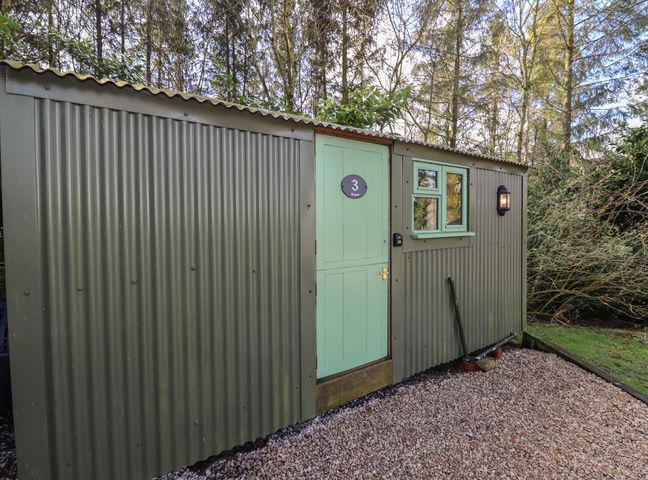 A green metal shed with a green door and window on a gravel path surrounded by trees at Rowan 3 in Broadway