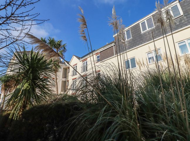 A residential building viewed through tall ornamental grasses and palm trees at Flat 4 in Newquay