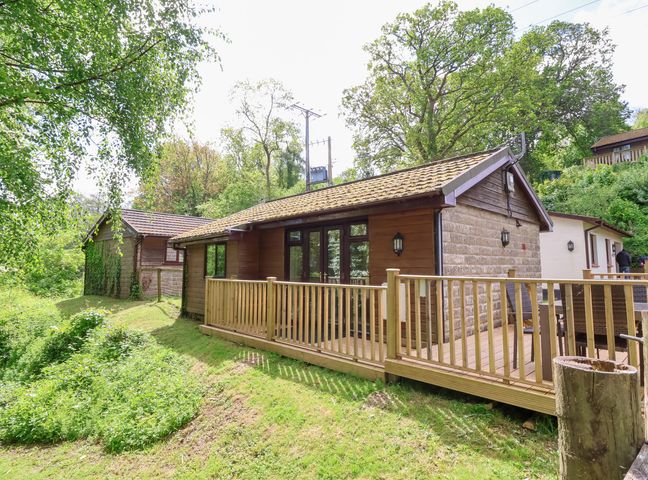 An outdoor view of a wooden cabin with a railing deck and green trees in a grassy area at Chalet Log Cabin C8 in Combe Martin