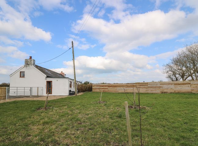 A white house with a fence and a grassy yard with young trees under a partly cloudy sky at Blaenferwig in New Quay