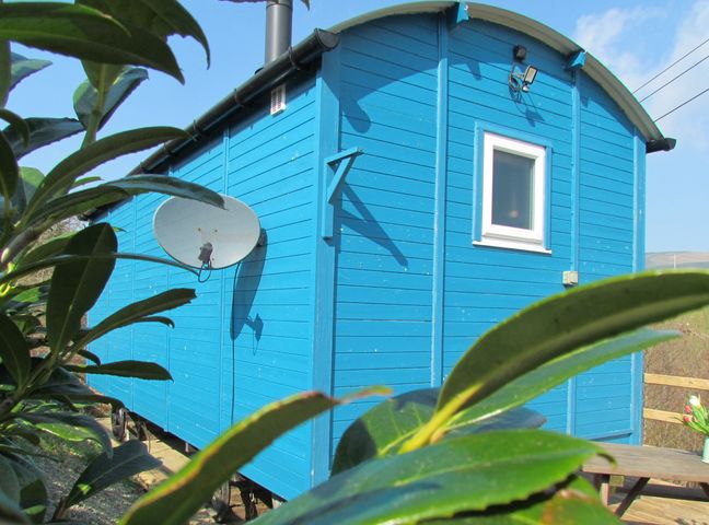 A blue wooden cabin with a satellite dish and a small window with green leaves in the foreground at Cuckoo at Wild Valley Huts in Llanrhaeadr-Ym-Mochnant