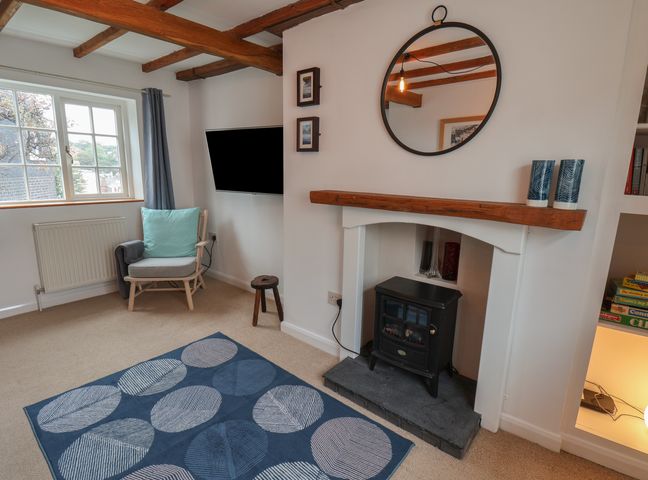 A living room with a fireplace TV chair rug and window at 9 Salt Pan Well Steps in Whitby