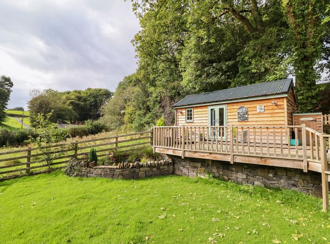 A wooden cabin with a fenced deck overlooking a grassy yard and trees at Chateau Petit in Trefeglwys