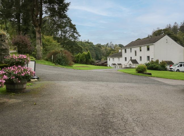 A driveway leading to a white building with cars and flower pots in a green area at Apartment 3 in Keswick