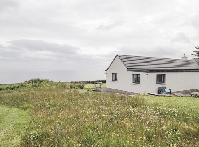 A house with a grassy yard and wildflowers near the sea at Duart At The Sea in Auckengill John O Groats