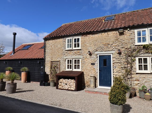 A stone house with a blue door and several potted plants outside at A Stones Throw in Sawdon near East Ayton
