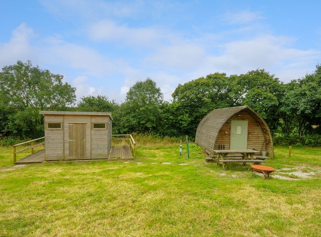 A wooden shed and a small wooden cabin with a picnic table and fire pit on a grassy field with trees in the background at Mole Hole @ Penbugle Organic Farm in St Keyne near Duloe
