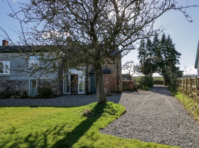 A gravel driveway with a tree on a lawn beside a stone and brick house at The Roost in Cumdivock near Dalston