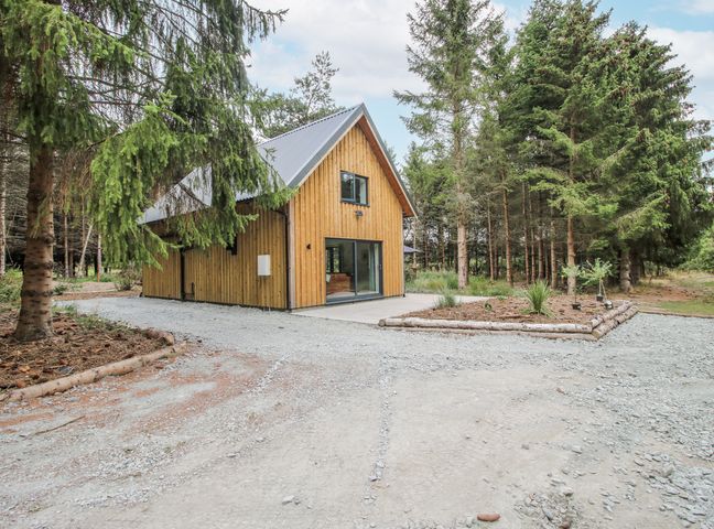 A house surrounded by trees and a gravel driveway at The Barn in Acton near Bishop's Castle