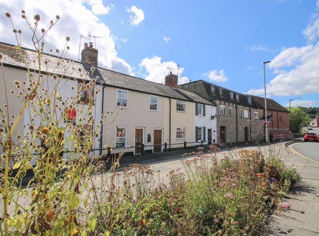 A row of terraced houses with chimneys and a flower bed in front of them on a street at Moorhen Cottage in Ludlow