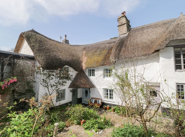 A thatched roof cottage with white walls surrounded by plants and a small garden at 3 Cumberland Cottages in Ringmore