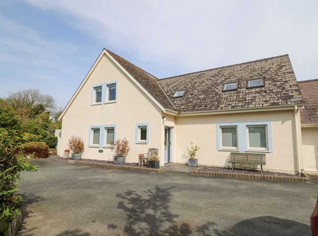 A house with multiple windows and a sloped roof with skylights a driveway and plants in pots at Tree Tops in Newport Pembrokeshire