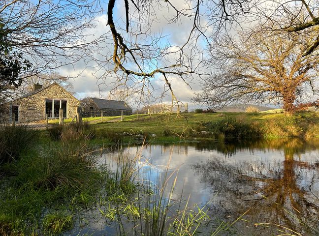 Hafod Y Llyn photo 1