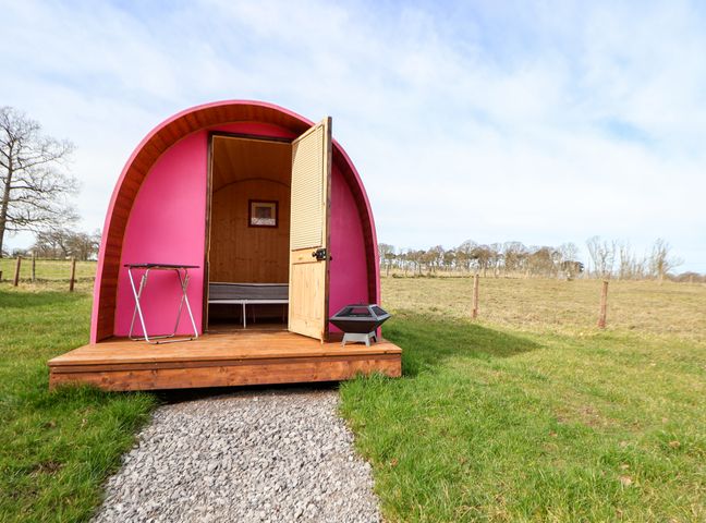 A small pink arched cabin with an open wooden door a bench a foldable table and a fire pit on a grassy field at Pod 3 in St Asaph