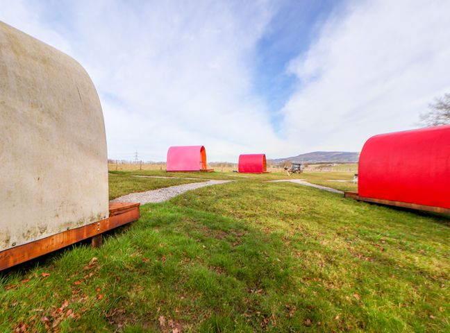 A grassy outdoor area with small curved cabins connected by gravel paths at Pod 6 in St Asaph