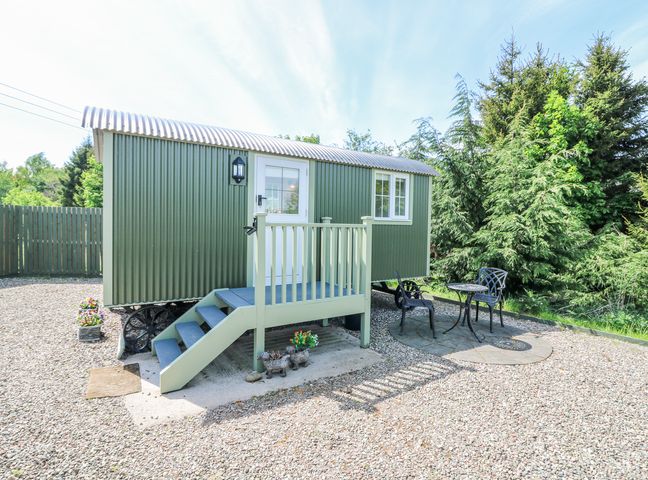 A green corrugated metal shepherds hut with steps leading to a white door and a small patio with two chairs and a table surrounded by trees at Airlie Burnside near Forfar