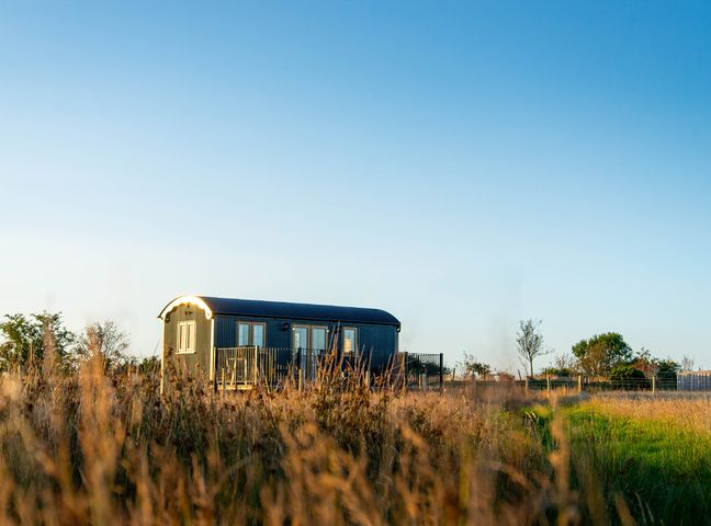 A shepherd's hut in a grassy field at Head For the Hills Glamping - Skylark Shepherd's Hut