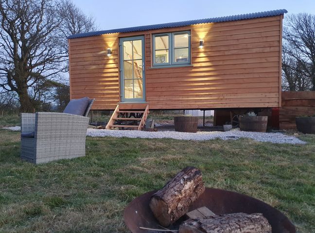 A wooden house with steps and a chair in front at Y Nyth in 