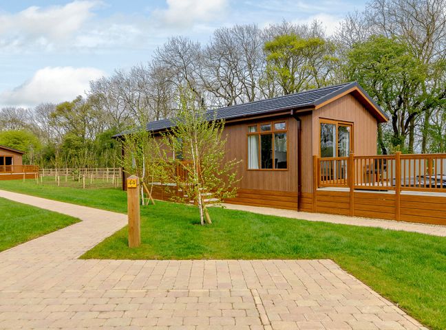 A cabin with a pathway and trees at The Castor in Kings Cliffe