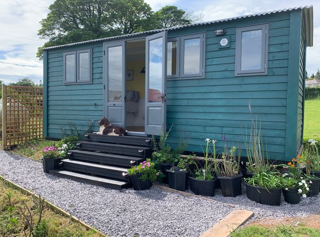 Bluebell Shepherd’s Hut photo 1