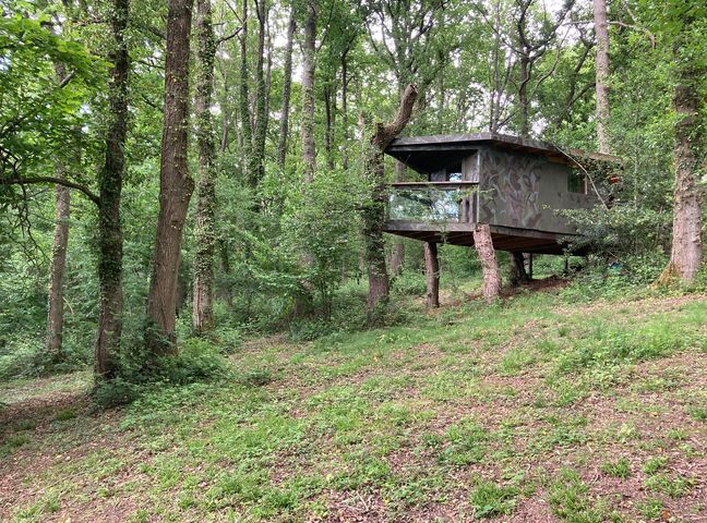 A tree house in a forest at The Tree House in the Woods Longhope