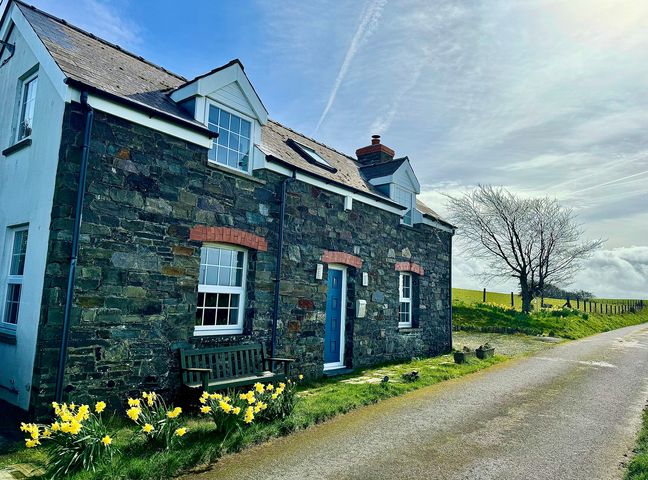 A house with a blue door and a flower bed at Penpegws near Aberystwyth