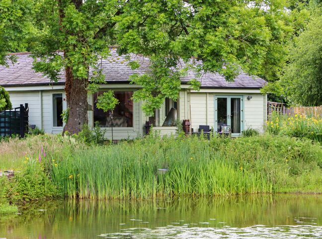 Bulrush Cabin photo 1