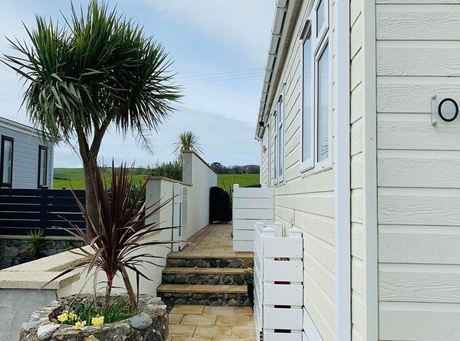 An outdoor pathway with steps and a plant at O7 in Abersoch