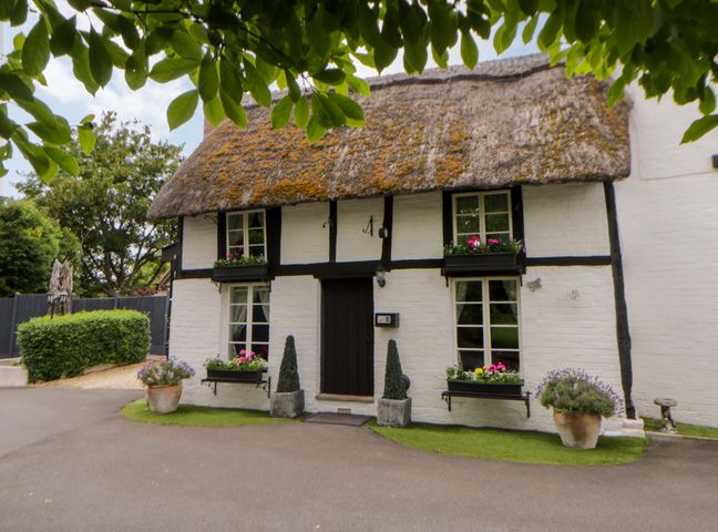 A cottage with a thatched roof and plants at Eightlands Hereford