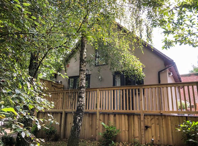 Treetops photo 1