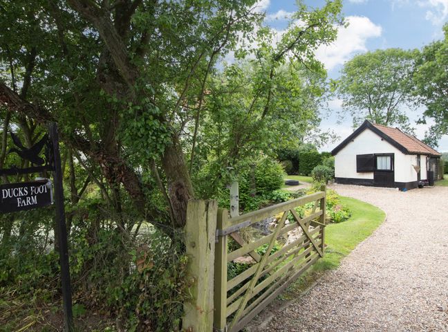 A gravel driveway leading to a small white building with black shutters surrounded by green trees and a wooden gate at Ducks Foot Farm