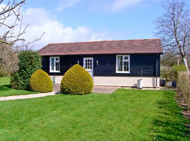 A single story house with two windows and a door surrounded by bushes and green grass at The Bothy in Boldre