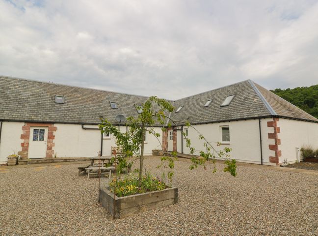 An outdoor area with gravel ground a wooden planter with a small tree a bench and a long building with white walls and slate roof at Lon Cottage in Blairgowrie