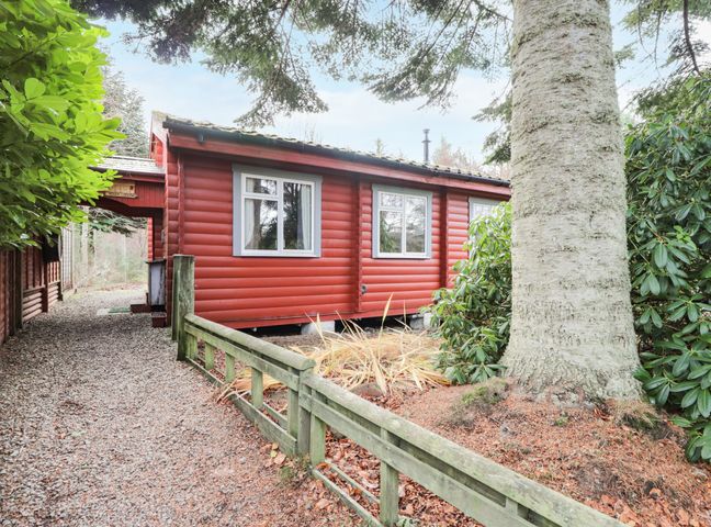 A red wooden lodge with white framed windows surrounded by trees and a gravel path at Rowan Lodge in Strathpeffer near Inverness