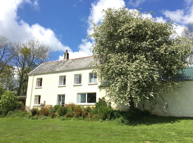 A two story house with white walls and a sloped roof with a large flowering tree and grass lawn in front at Marsh Cottage in North Molton