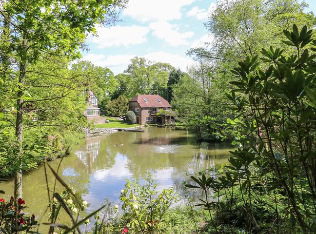 A pond surrounded by trees and bushes with houses on the far side at Miswells Cottages - Lake View in Turners Hill near East Grinstead