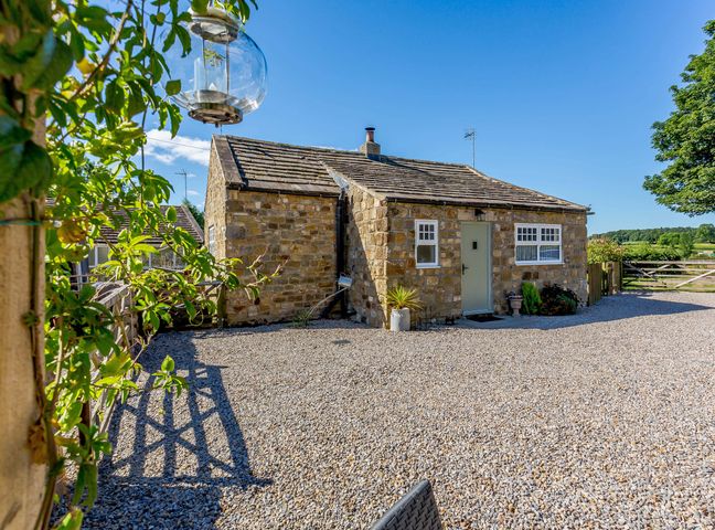 A stone cottage with a light green door and windows surrounded by gravel and plants at Ivy Cottage in Grewelthorpe near Masham