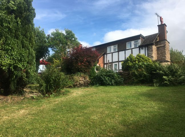A garden with grass and various trees and shrubs in front of a two story house at Causeway Cottage in Pencombe