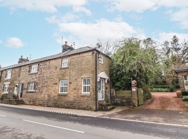 Stone terraced houses along a street with a tree and gate on the side at Edendale in Longframlington near Alnwick