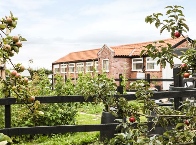 An orchard with apple trees and black wooden fences with a red brick building with a tiled roof in the background at Bowler Yard Cottage Warsop near Chesterfield